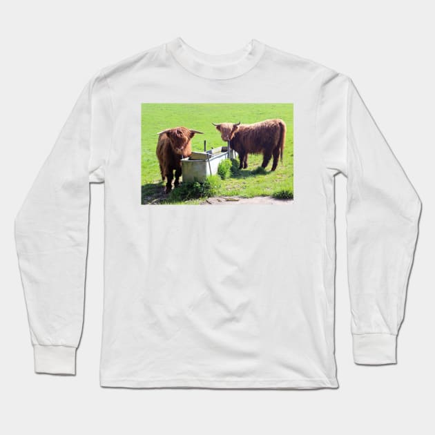 Highland Cattle in a Field Long Sleeve T-Shirt by pinkal